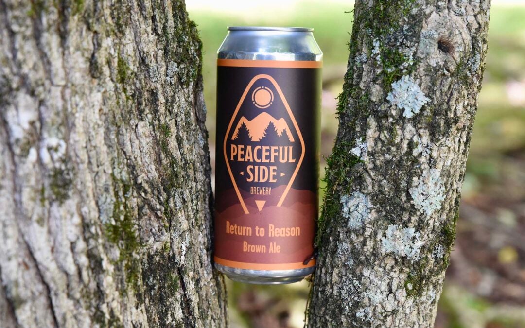 Return to Reason Brown Ale
